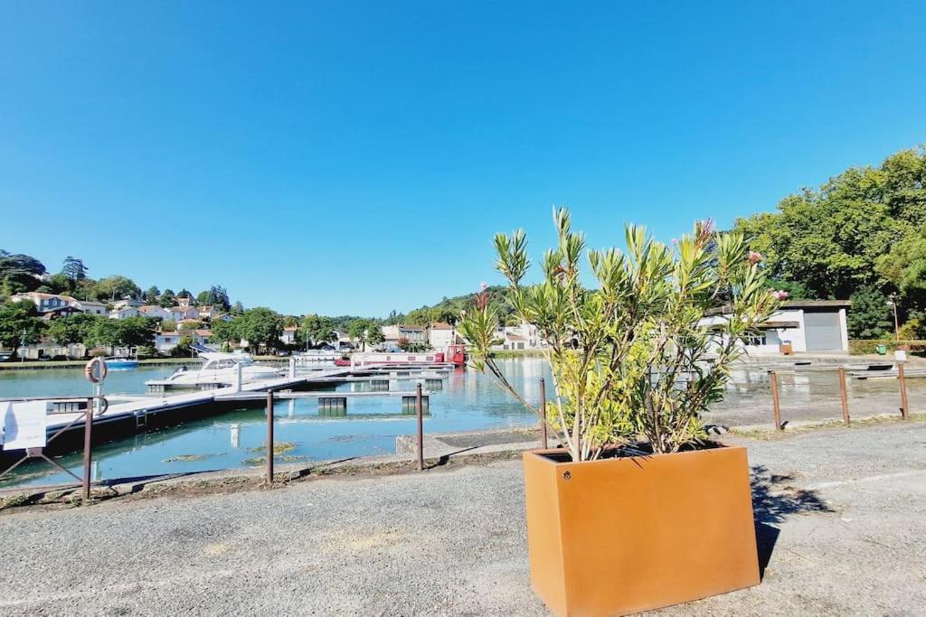 Maison, 4 A 6 Pers, Clim, Parking Prive, 2 Chambres Agen Kültér fotó